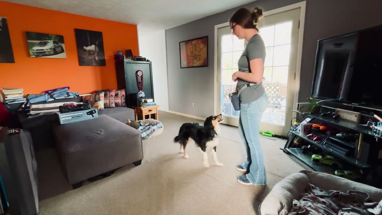 How to Greet Stangers Layer 1