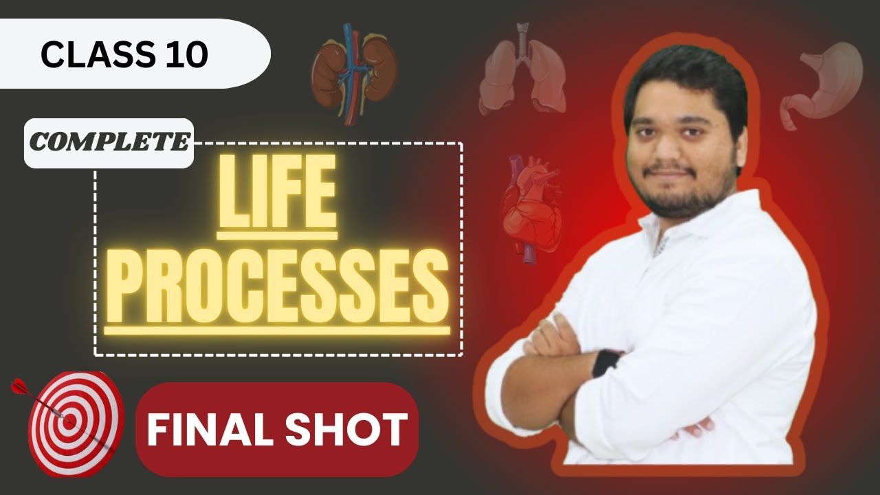 Life Processes One Shot Revision | Class 10 Science NCERT | CBSE Board Exam 2026