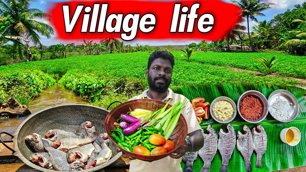 ஒருநாள் இப்படி வாழ்ந்திடணும் | my village life stays | vanni vlog