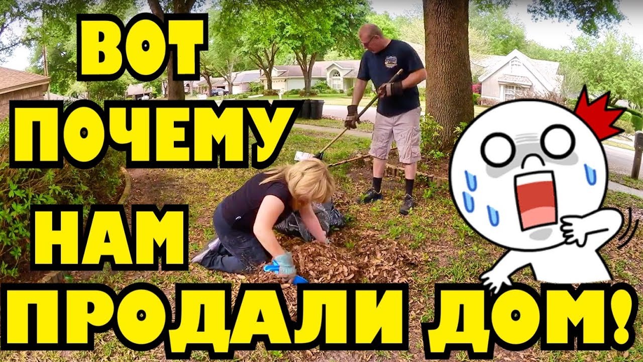 Мы такой подставы не ожидали #натальяфальконе #сша #usa
