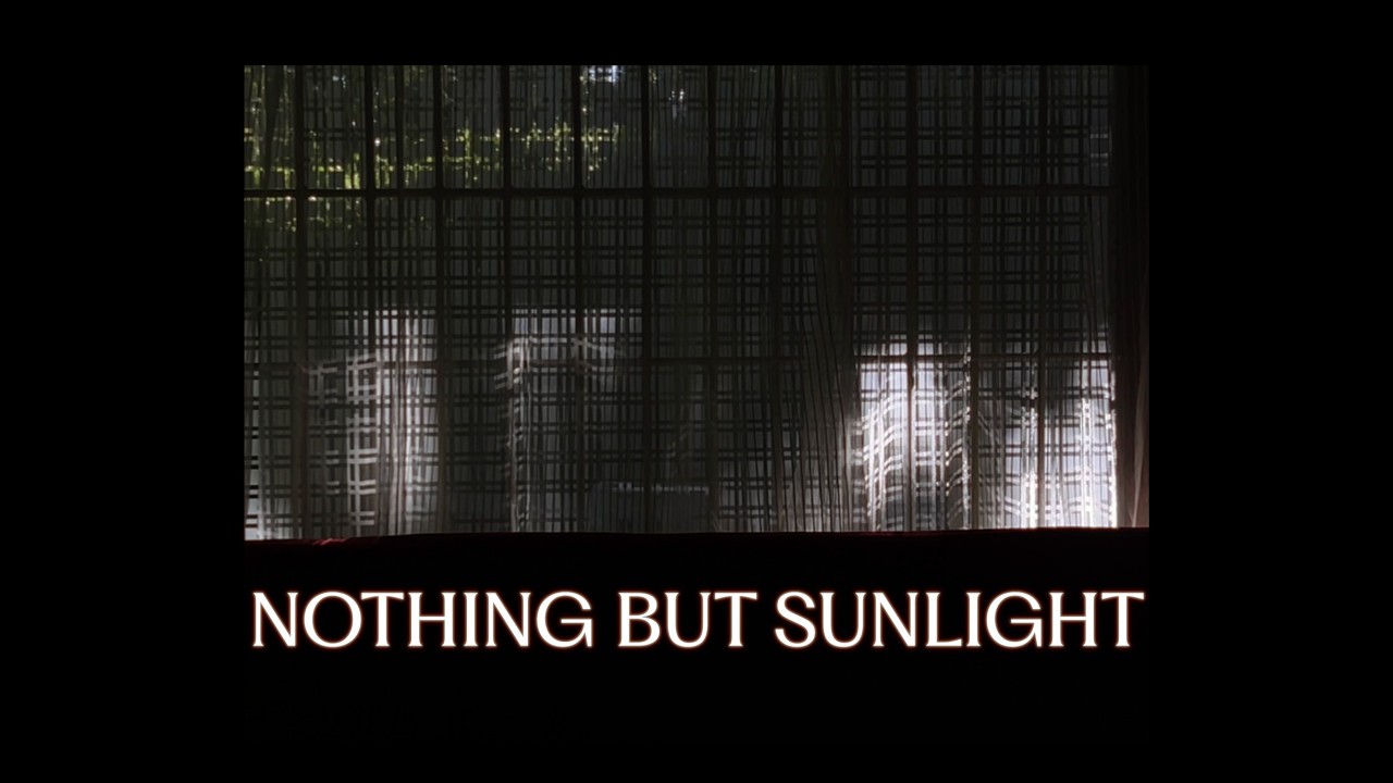 30 Minutes of Nothing but sunlight