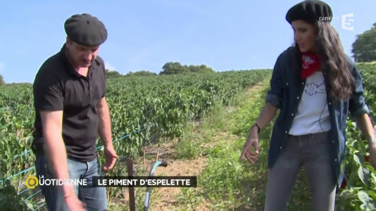 Le piment d’Espelette : une épice made in France