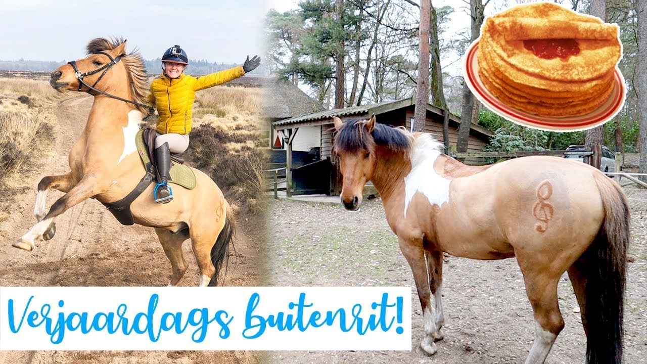 Verjaardags buitenrit met pannenkoeken! | felinehoi VLOG #174