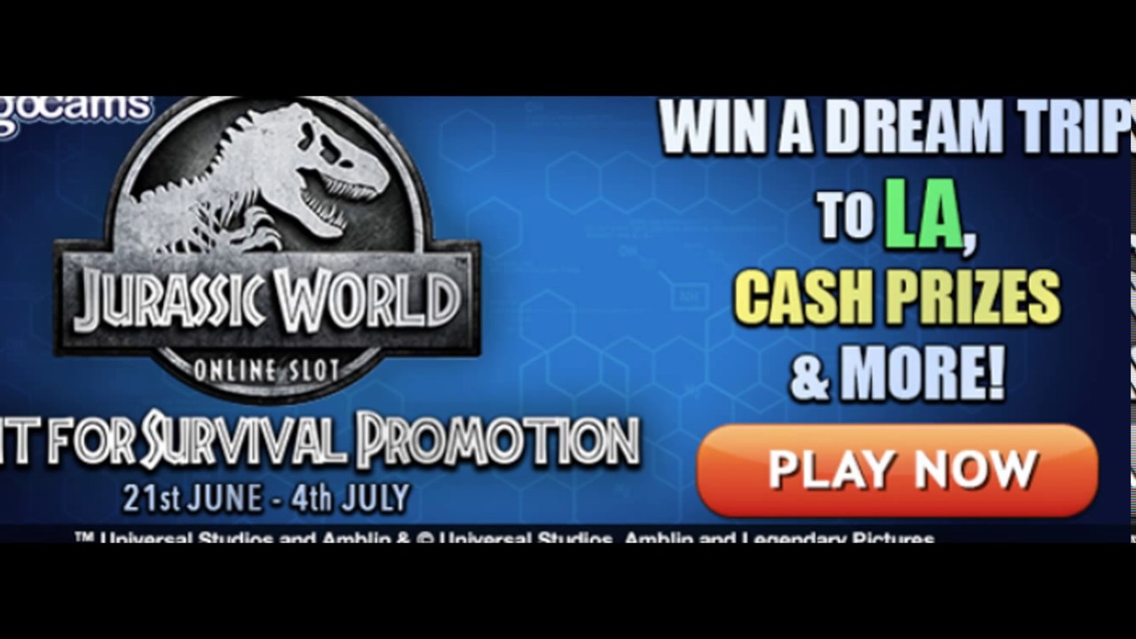 Bingocams | Best Bingo Sites | Top Bingo Sites | Online Bingo Sites