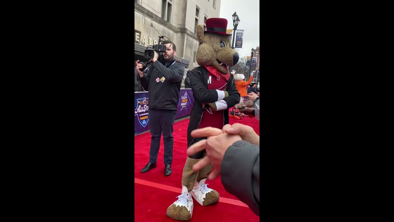 NHL Mascots red carpet NHL 2020 All Star weekend