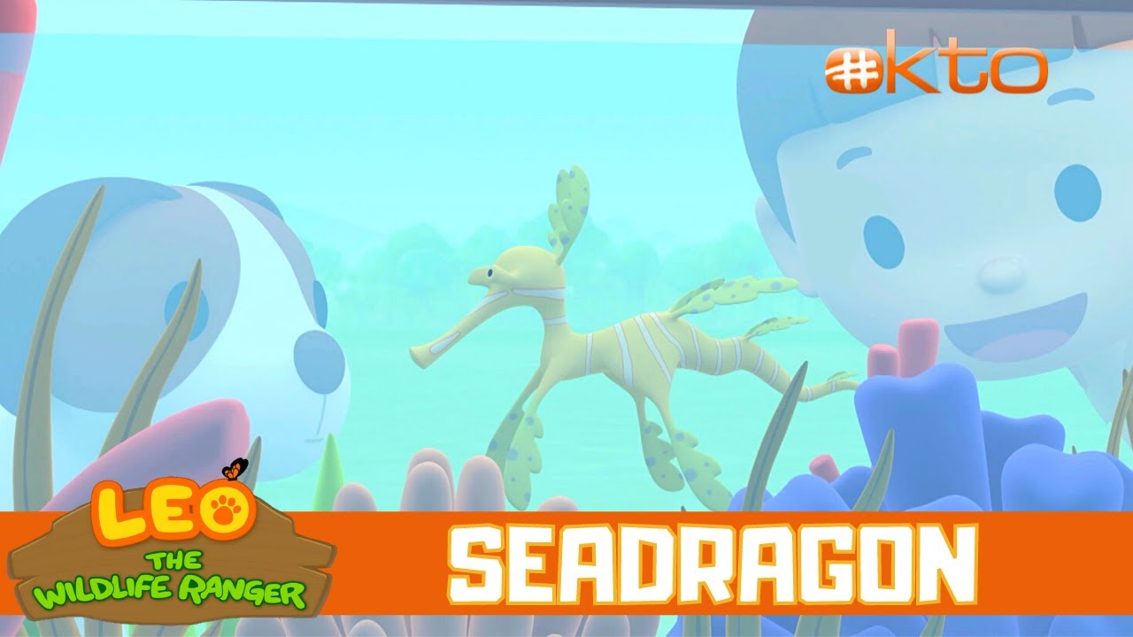 DON'T Remove The Rare Seadragon From The Ocean!|Leo the Wildlife Ranger|Kids Videos |@Mediacorp okto