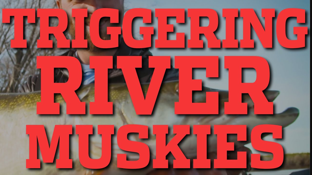 In-Fisherman | Triggering River Muskies