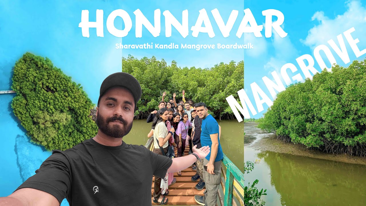 Mangrove Forest Honnavar | Sharavathi Kandla Mangrove Boardwalk | Eco Beach Kasarkod Karnataka