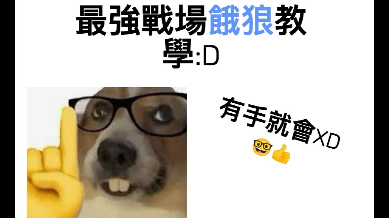有史最爛的餓狼教學