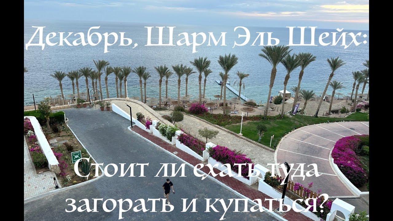 🇪🇬 ЧЕСТНЫЙ ОБЗОР Египет декабрь 2025 Шарм Эль Шейх - Invidia Coral Beach Tiran - бассейны, аквапарк