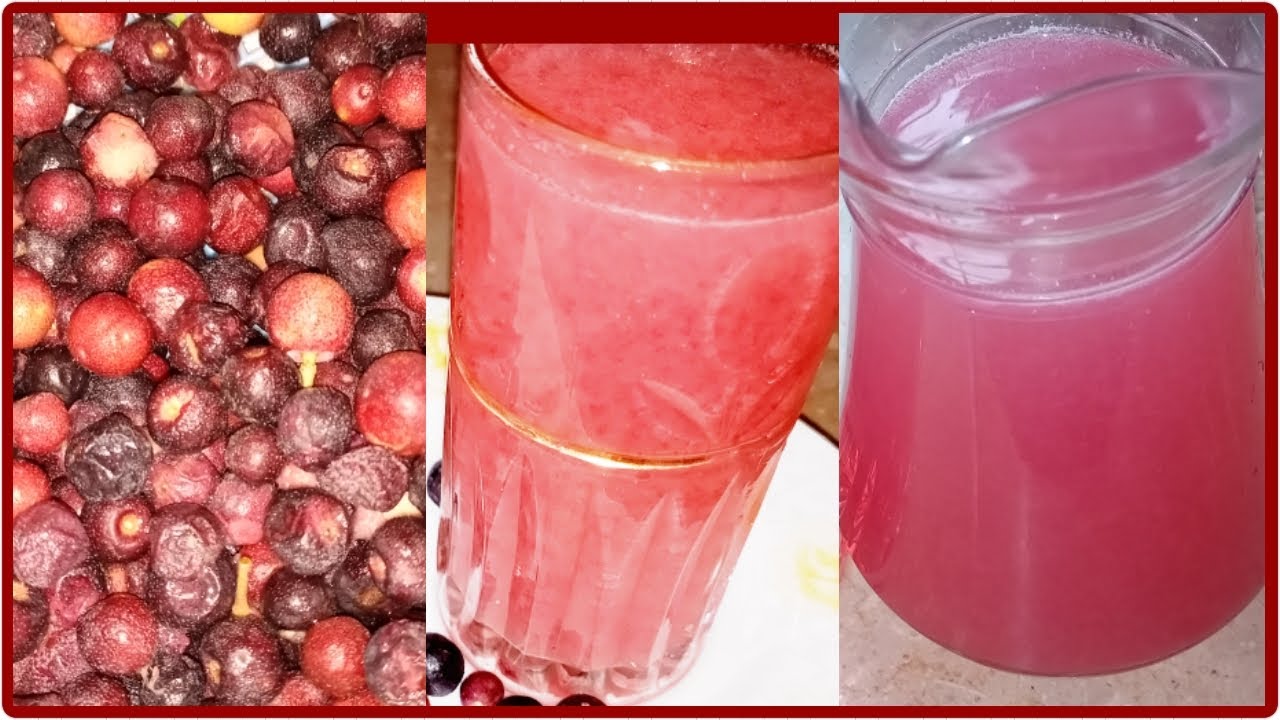 How To Make Falsa Juice At Home | summer drink By Multani Tarka