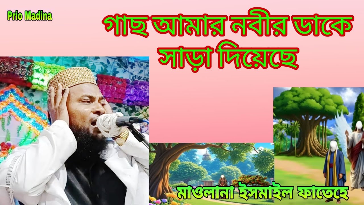 #গাছ ও আমার নবীর ডাকে সাড়া দিয়েছে