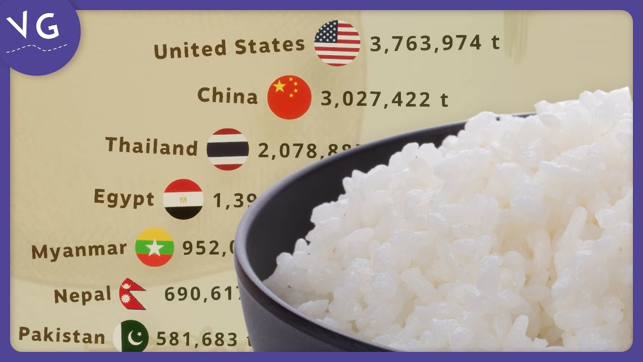 The Countries that Export the Most Rice in the World
