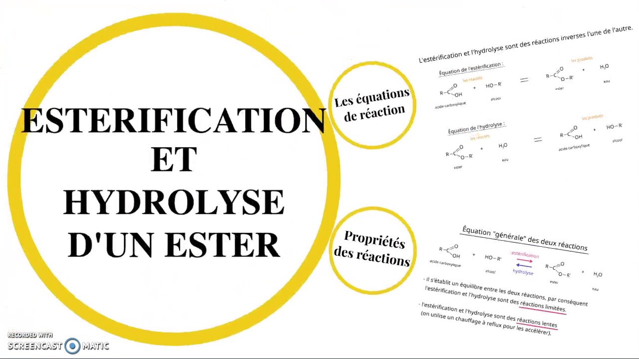 Estérification et hydrolyse d'un ester