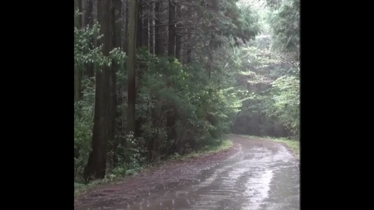 (free) Summer indie folk x Bon Iver type beat - 