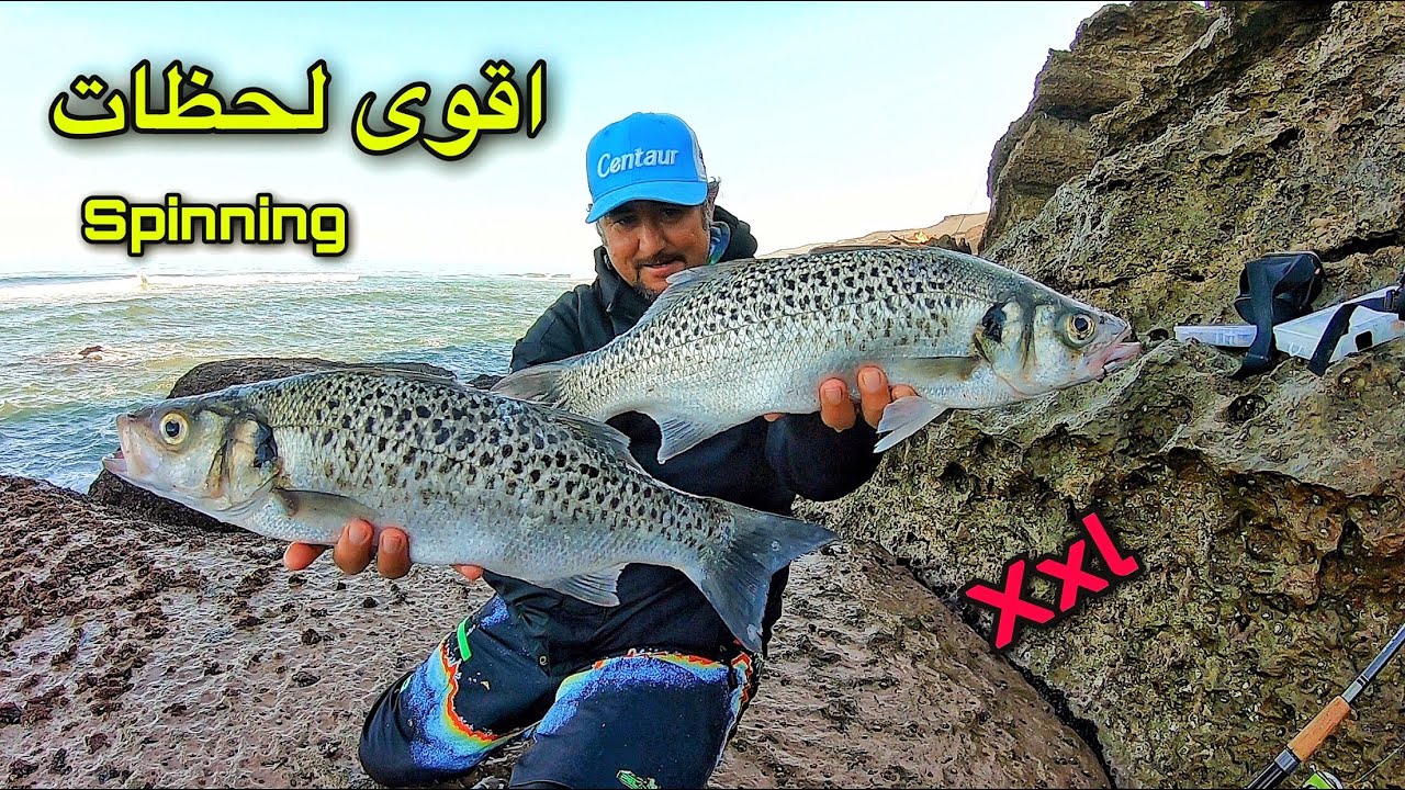 أقوى مغامرات صيد سمك ابلاغ من الحجم الكبير🎣والدرعي-القاروص في أخطر مواقع الصيد بالقصبة بالمغرب🇲🇦