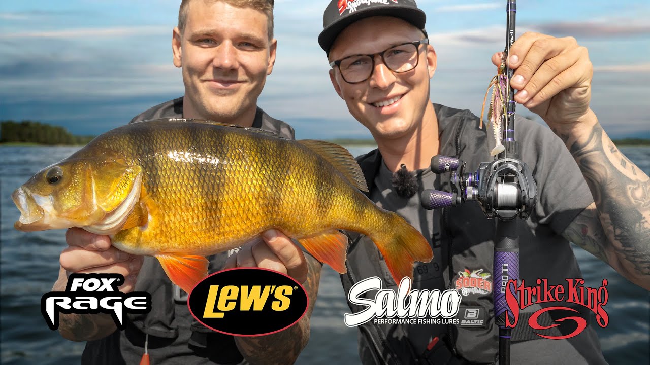 Abborrfiske - Vi testar heta produkter från bla. Strike King & Fox Rage  | Sportfiskeprylar.se