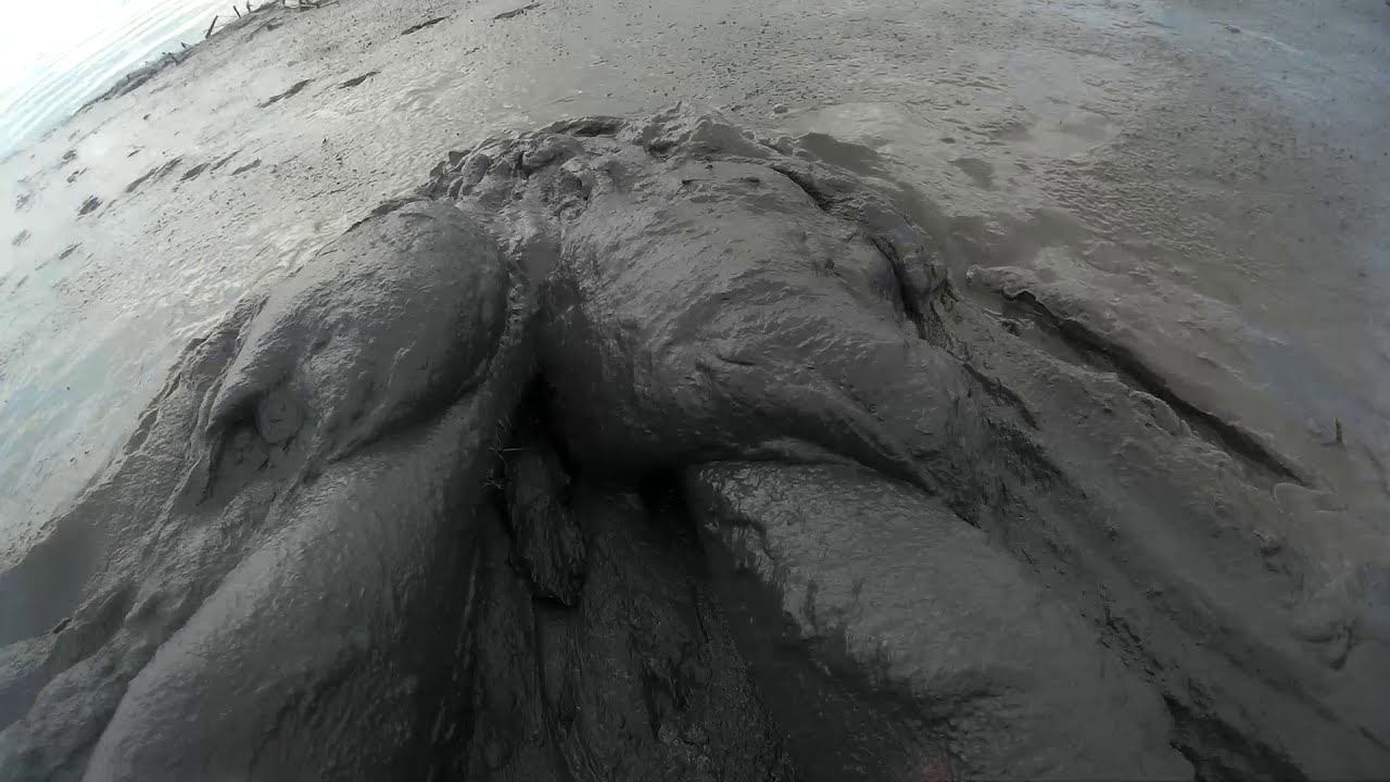 Tidal mud session - 7/4/2020