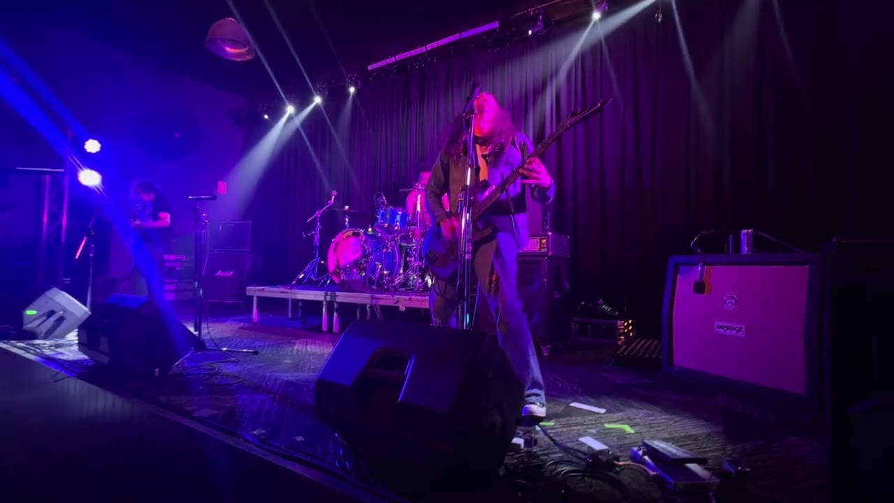 Too Many Puppies - Primus Cover