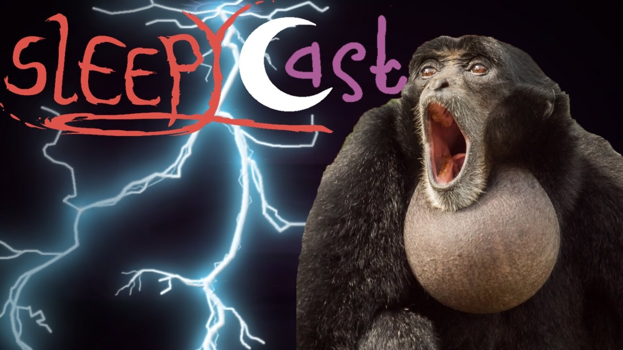 Lightning Round improv Story - Best of SleepyCast