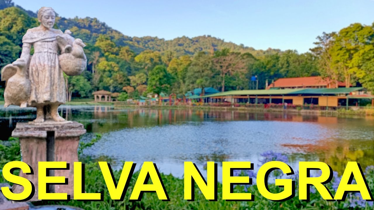 Это Европа или Никарагуа? Кофе Selva Negra и эколодж!