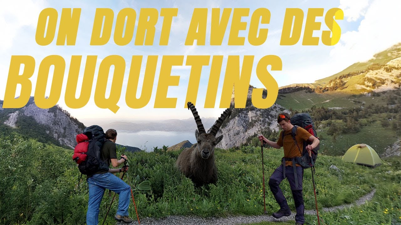 On DORT avec les BOUQUETINS I Lac Lovenex, les lieux sous-c&ocirc;t&eacute;s de Suisse 🇨🇭