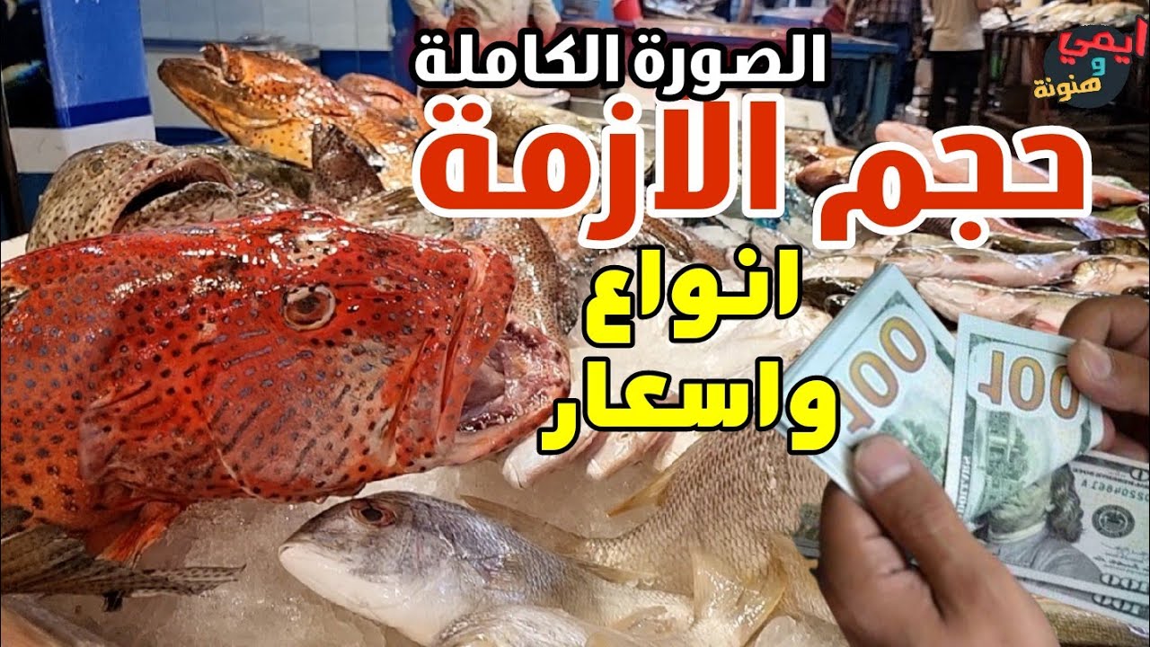 ظهور وحووش من الأسماك العملاقة 🦈 مع عم محمد زغلول - الموسوعة السمكية 👈 بسوق الأنصاري بالسويس