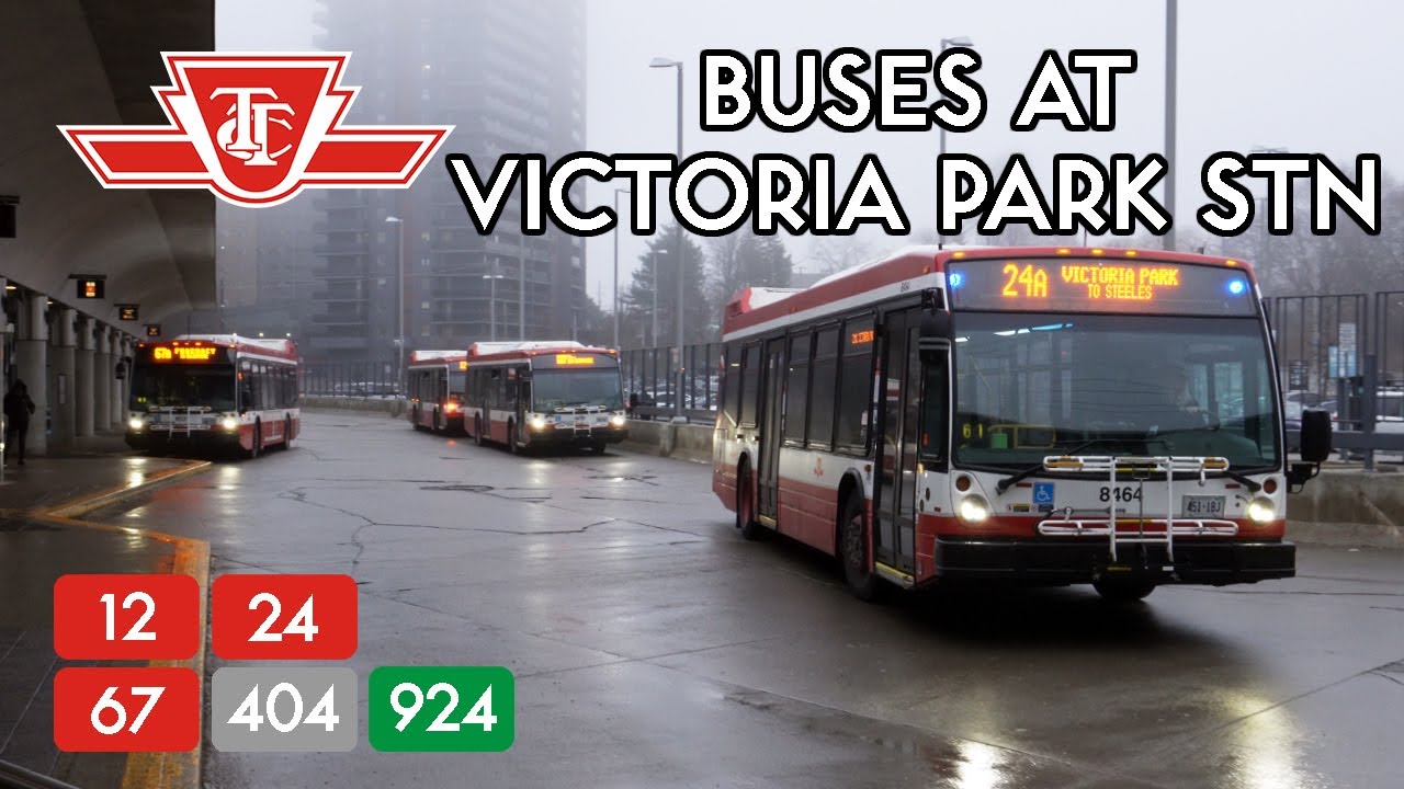 TTC Buses at Victoria Park Station