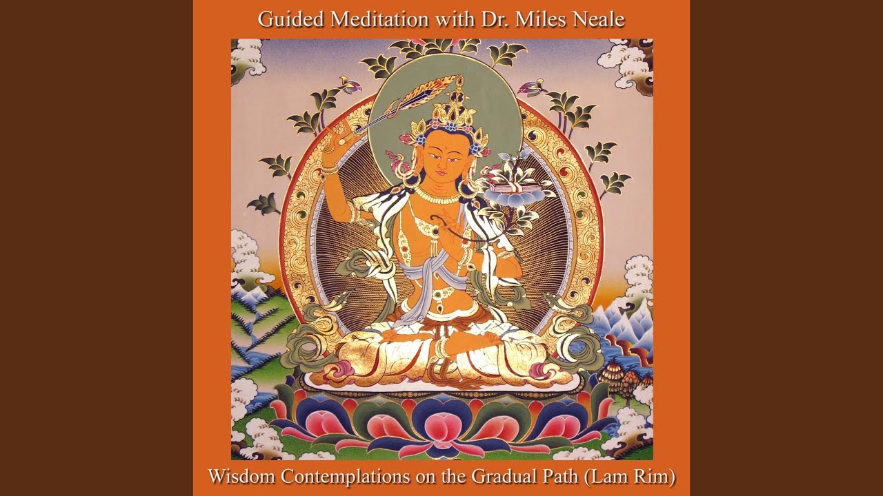 Guidelines for Wisdom Contemplations