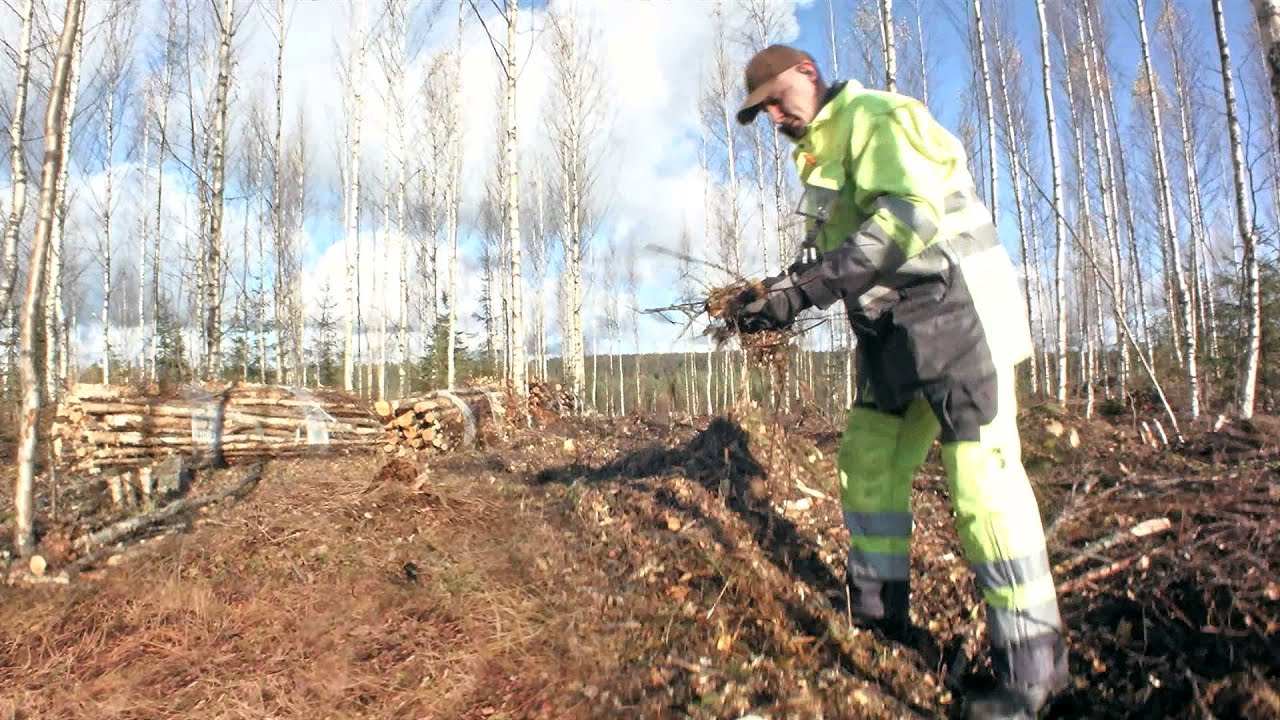 Metsänomistajan kokemukset Fixteri-korjuusta