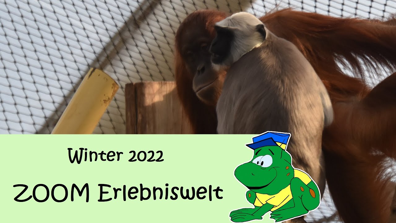 ZOOM Erlebniswelt, winter 2022