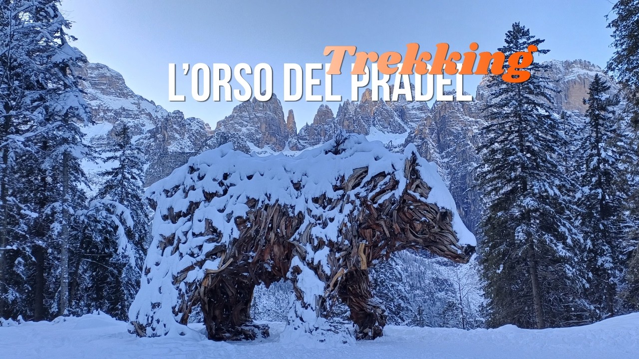 Orso del Pradel 🐻🌲❄️