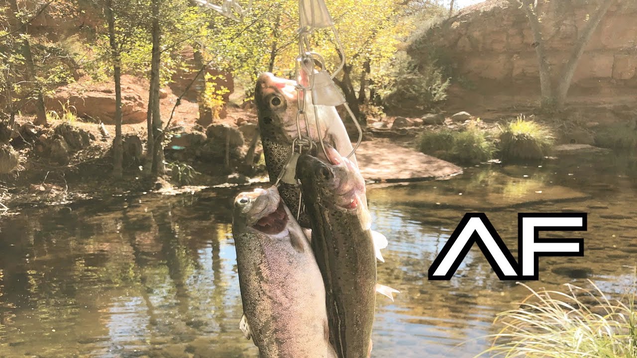 ARIZONA FISHING AT WET BEAVER CREEK!!!