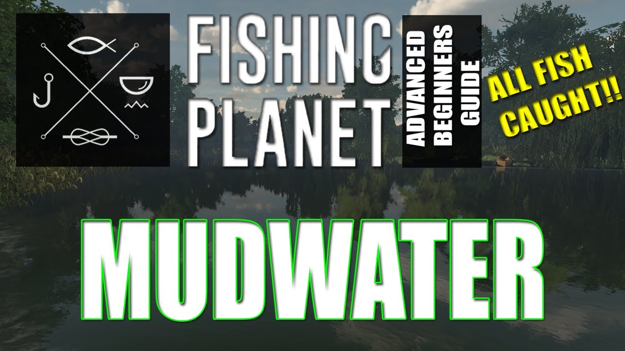 Полное руководство для начинающих Fishing Planet — Эпизод 2 — Река Мадуотер