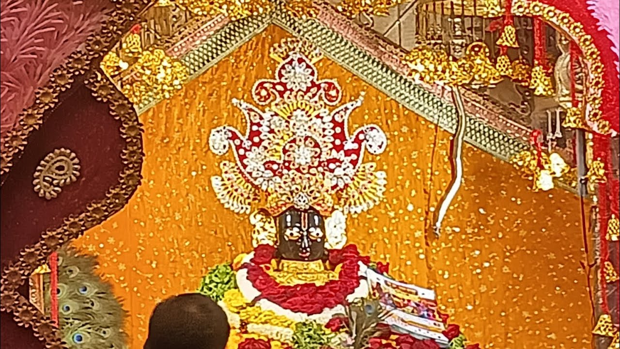 চাঁচোড় পোড়া দেখা এবং খাটু শ্যামের দর্শন।।