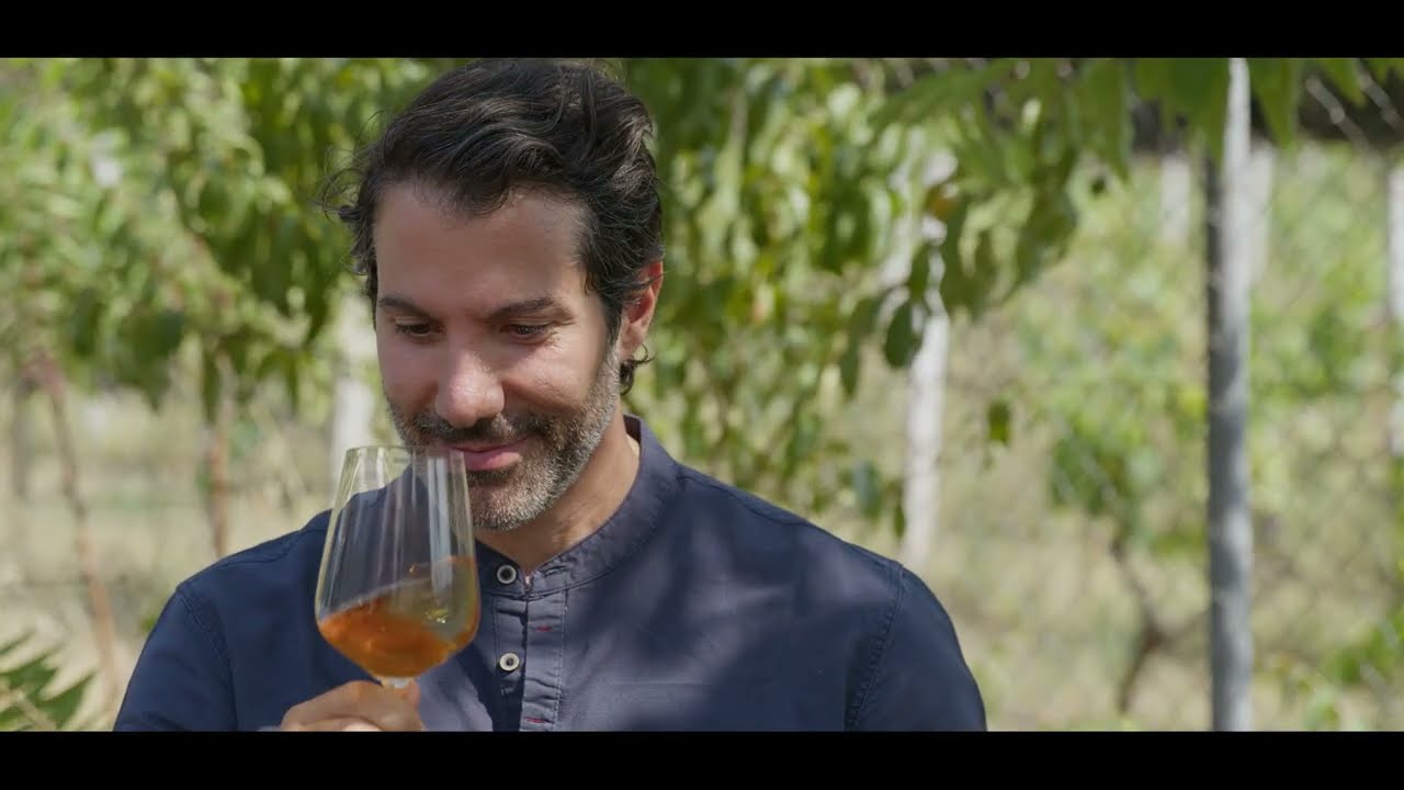 Greek Farms | Discover the Taste of Greek Wines: Syros & Pangaio PGI Wines