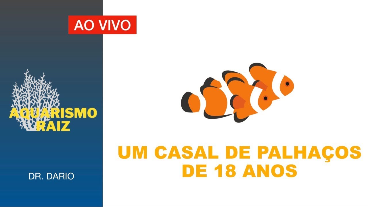 AQUARISMO RAIZ - LONGEVIDADE NO HOBBY - PALHAÇOS DE 18 ANOS