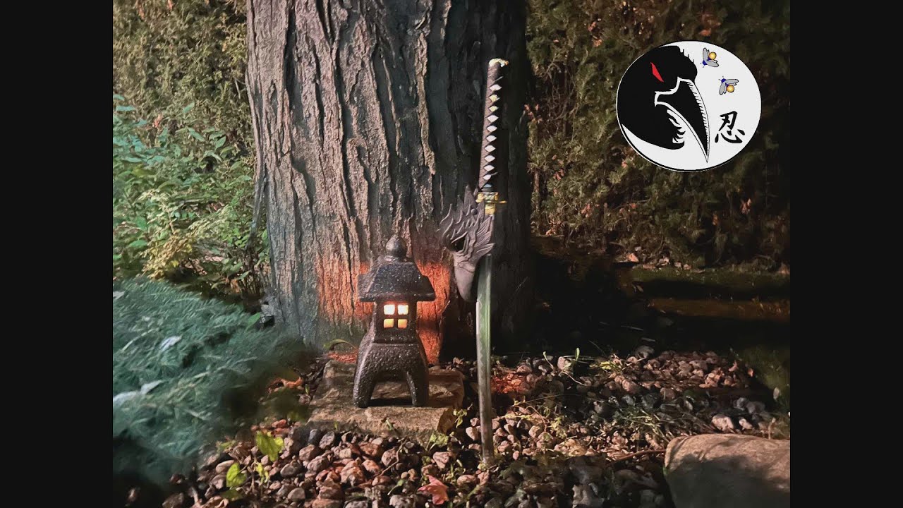 Ninjutsu training in the forest 