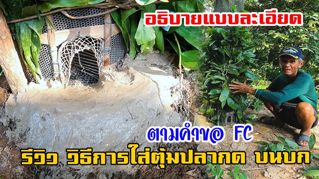 การใส่ตุ้มปลากด ปรับดิน ใส่เหยื่อ ทำเลแบบไหนดี? ใส่บนบกให้ดูครับ - อีสาน บ้านโนน