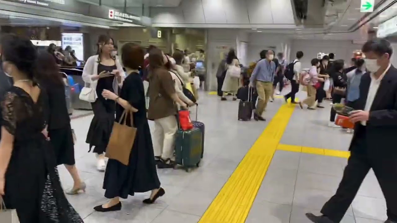 Shinkansen Tips for First Time Travellers and Foreigners