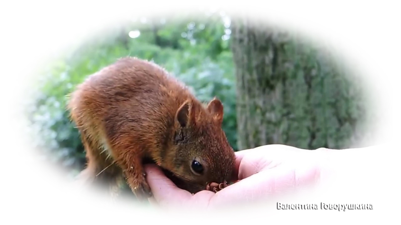 Счастье на ладони. Happiness in the palm. :)