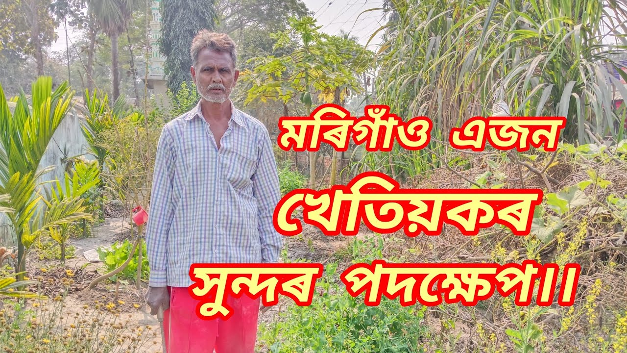 মৰিগাঁও এজন খেতিয়কৰ সুন্দৰ পদক্ষেপ।। Viral Videos ll🔥