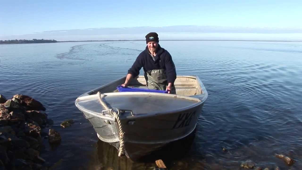 Welcome To The FRDC Fishfiles All Access Channel