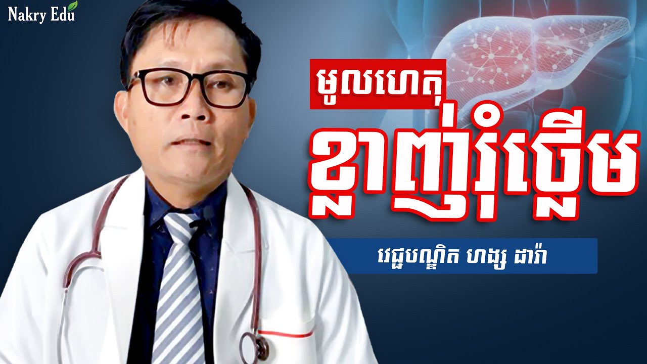 ខ្លាញ់រុំថ្លើម | ជំងឺខ្លាញ់ក្នុងថ្លើម - Fatty Liver - Nakry Edu