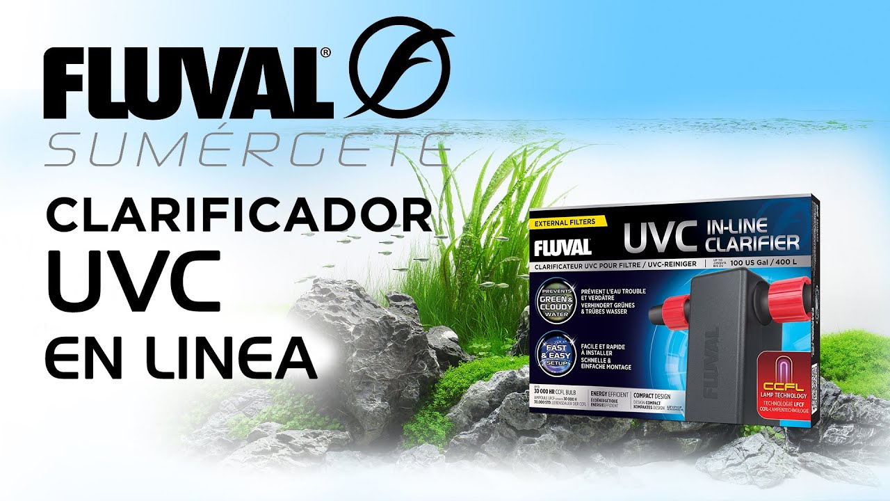 Acuario LIMPIO Y SALUDABLE con el Clarificador UVC en línea Fluval