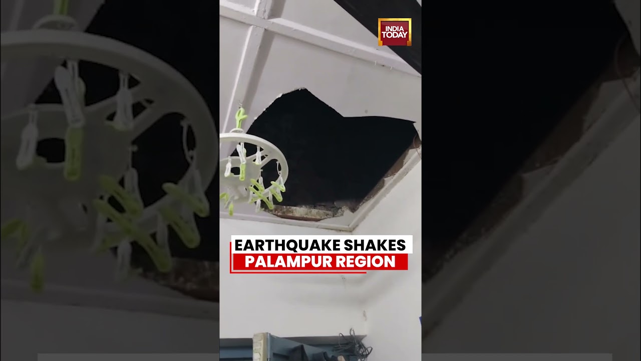 VIRAL VIDEO: Earthquake Shakes Palampur Region in Himachal Pradesh, Tremors Felt Locally