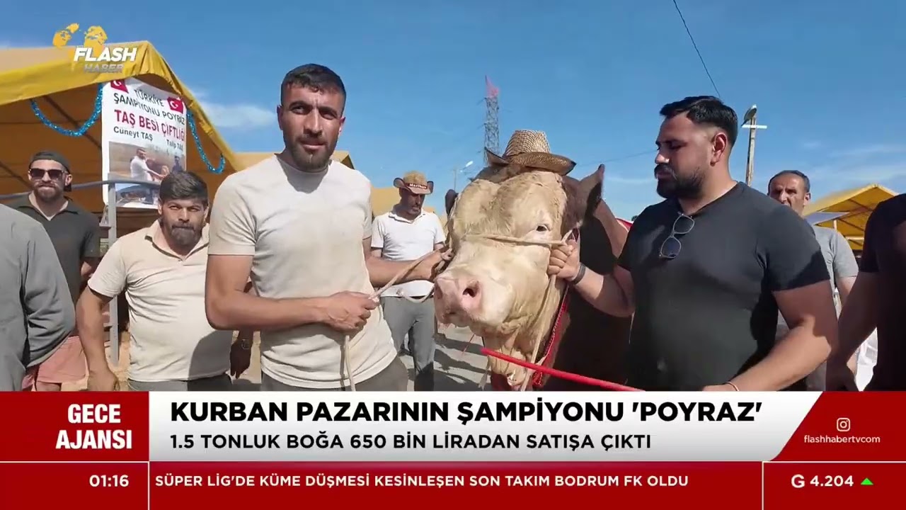 TÜRKİYE'NİN EN PAHALI KURBANLIĞI #sondakika #gündem #flashhaber #keşfet #kurbanbayramı