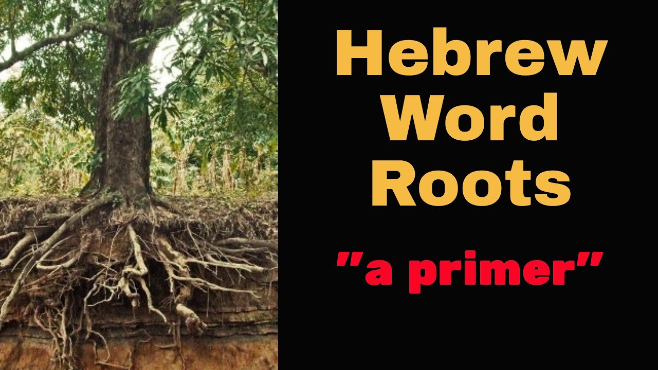 Simple Instructions  on How to Identify the Root of a Hebrew Word: Biblical Hebrew Lesson with David
