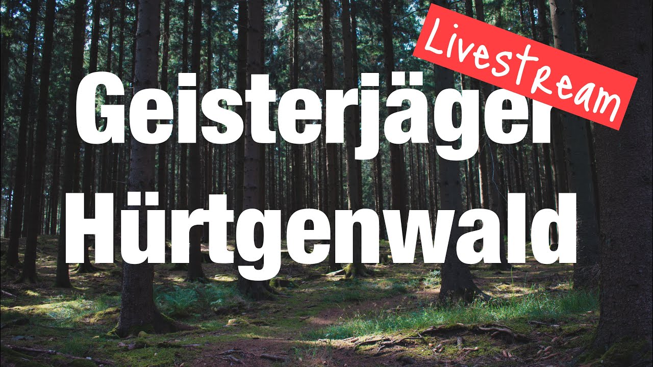 Geisterjäger im Hürtgenwald