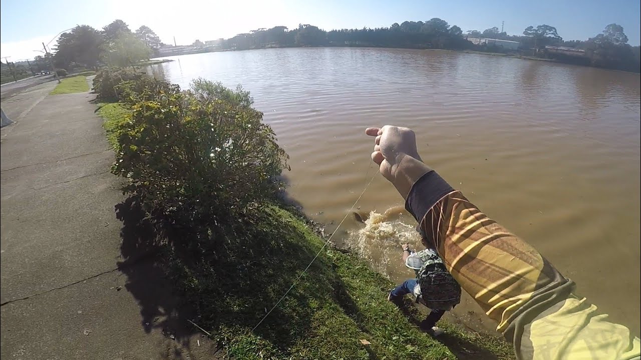 CARPA E TILÁPIA NO ESTILINGUE HOJE RENDEU PARCERIA TOP #pescacomestilingue #pescaria